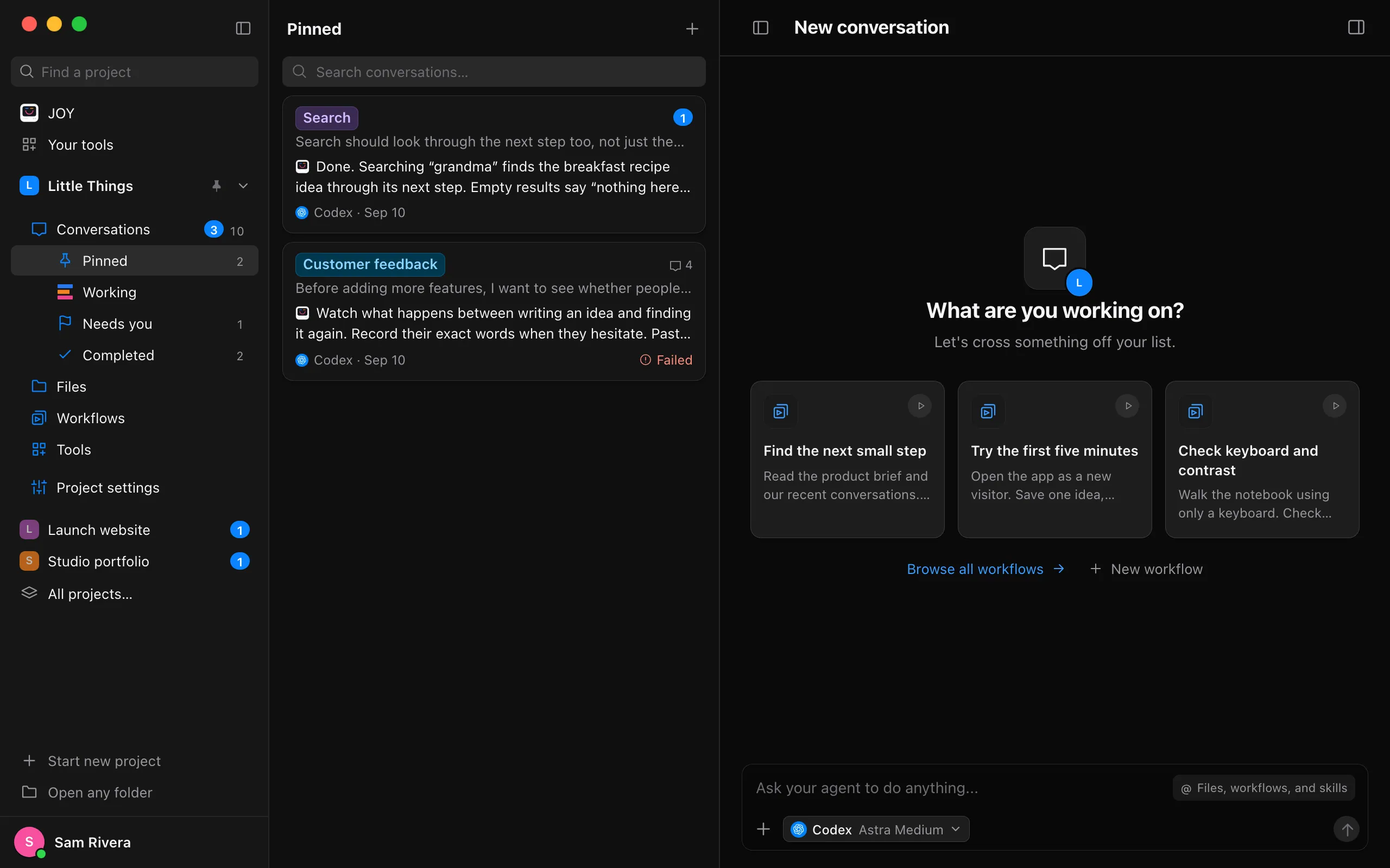 The sidebar with Pinned selected under Conversations, and the list beside it headed Pinned, showing only the pinned conversations. Highlighted: Pinned, under Conversations in the sidebar.